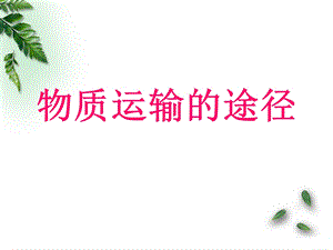 《物质运输的途径》ppt课件.ppt