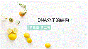 DNA分子的结构(优质ppt课件).ppt