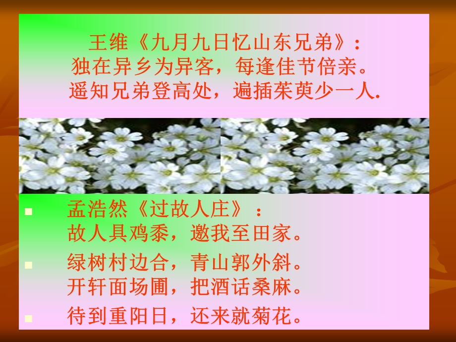 《采桑子·重阳》ppt课件.ppt_第2页