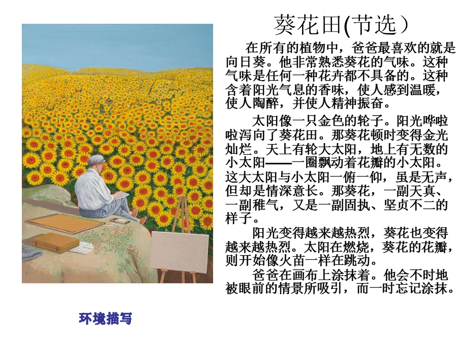 《青铜葵花》导读课 ppt课件.ppt_第2页