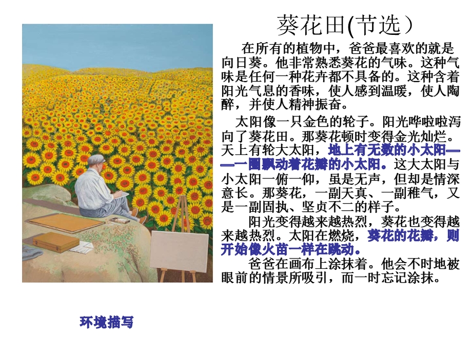 《青铜葵花》导读课 ppt课件.ppt_第3页