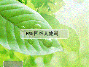 HSK4级其他词复习ppt课件.pptx