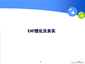 EAP理论与务实ppt课件.ppt