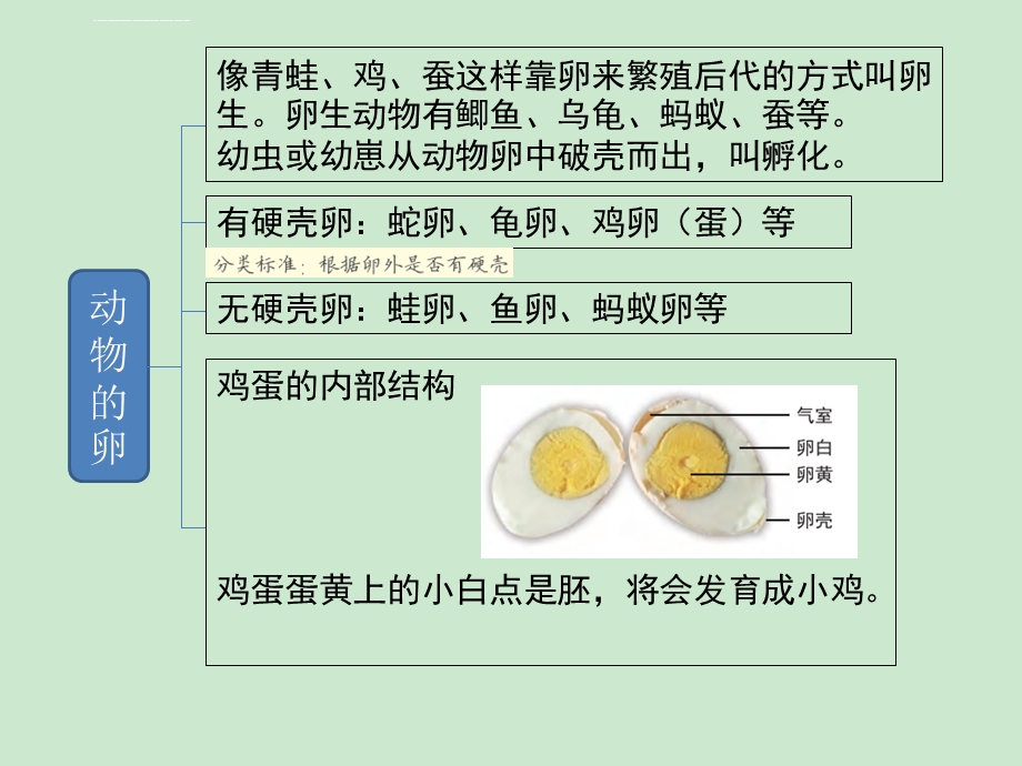 三年级下册科学复习第二单元《动物的一生》单元复习 教科版ppt课件.ppt_第3页