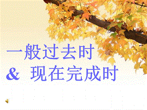 一般过去时和现在完成时ppt课件.ppt