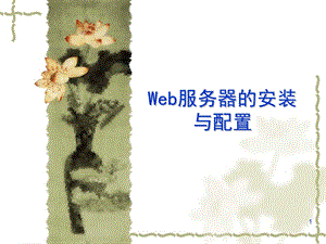 WEB服务器的安装与配置ppt课件.ppt