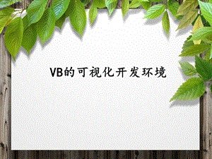 VB的可视化开发环境ppt课件.pptx