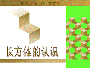 《长方体的认识》 ppt课件.ppt