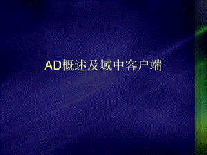 AD客户端常见问题解析ppt课件.ppt