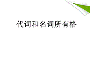 七年级英语上册 代词和名词所有格ppt课件 仁爱版.ppt