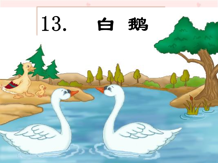 【小学语文】《白鹅》完整PPT课件.ppt_第1页