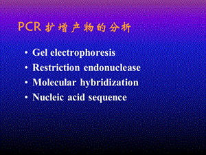 PCR扩增产物的分析ppt课件.ppt