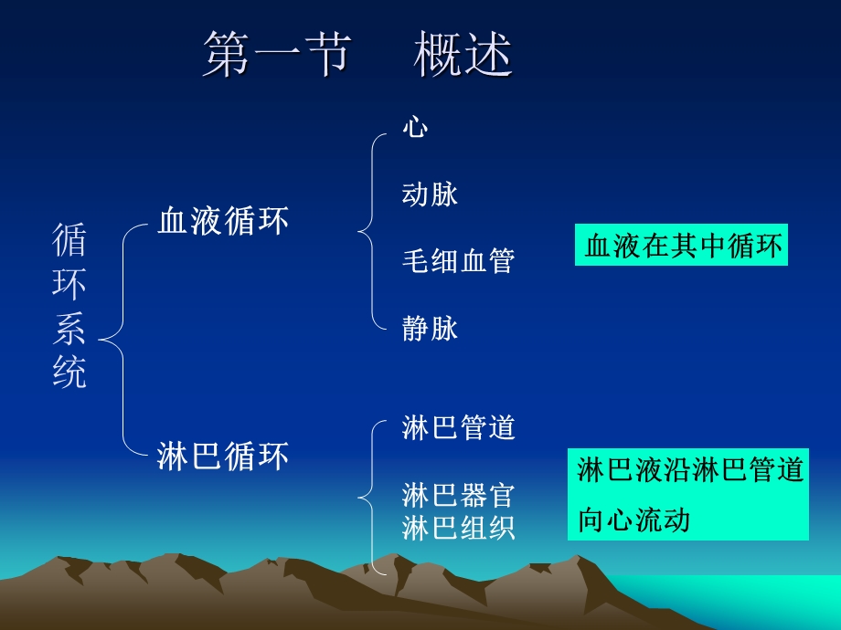 《人体解剖学》ppt课件 第六章循环系统.ppt_第2页