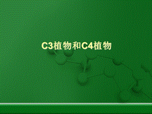 C3植物和C4植物ppt课件.ppt