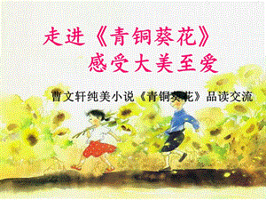 《青铜葵花》读书交流课ppt课件.ppt