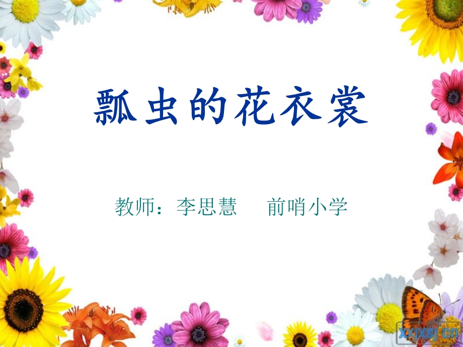 《瓢虫的花衣裳》ppt课件.ppt_第1页