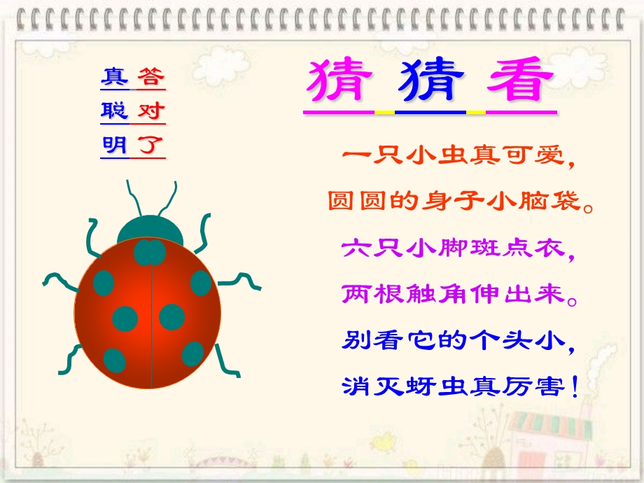 《瓢虫的花衣裳》ppt课件.ppt_第3页