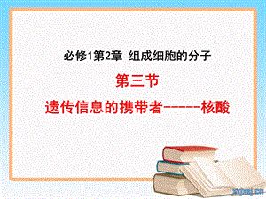 一轮复习遗传信息的携带者——核酸ppt课件.ppt