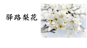 《驿路梨花》(优质)PPT课件.pptx