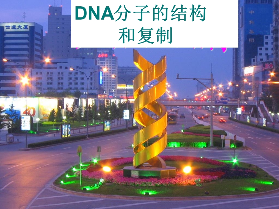 DNA的分子结构公开课ppt课件.ppt_第1页