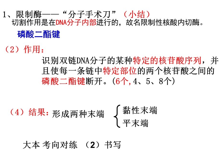 一轮 基因工程ppt课件.ppt_第3页