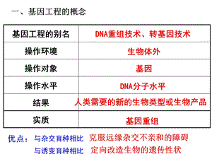 一轮 基因工程ppt课件.ppt