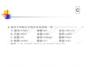 《荷塘月色》练习题解析ppt课件.ppt