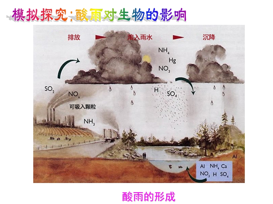 七年级生物第二节 探究环境污染对生物的影响ppt课件人教版.ppt_第3页
