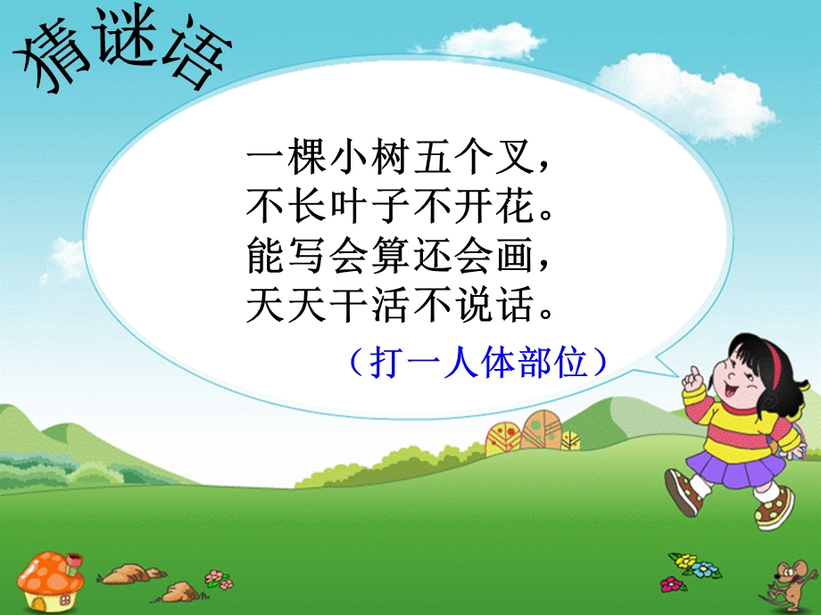 《植树问题》ppt课件.ppt_第1页