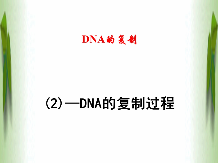 DNA的复制——过程ppt课件.ppt_第1页