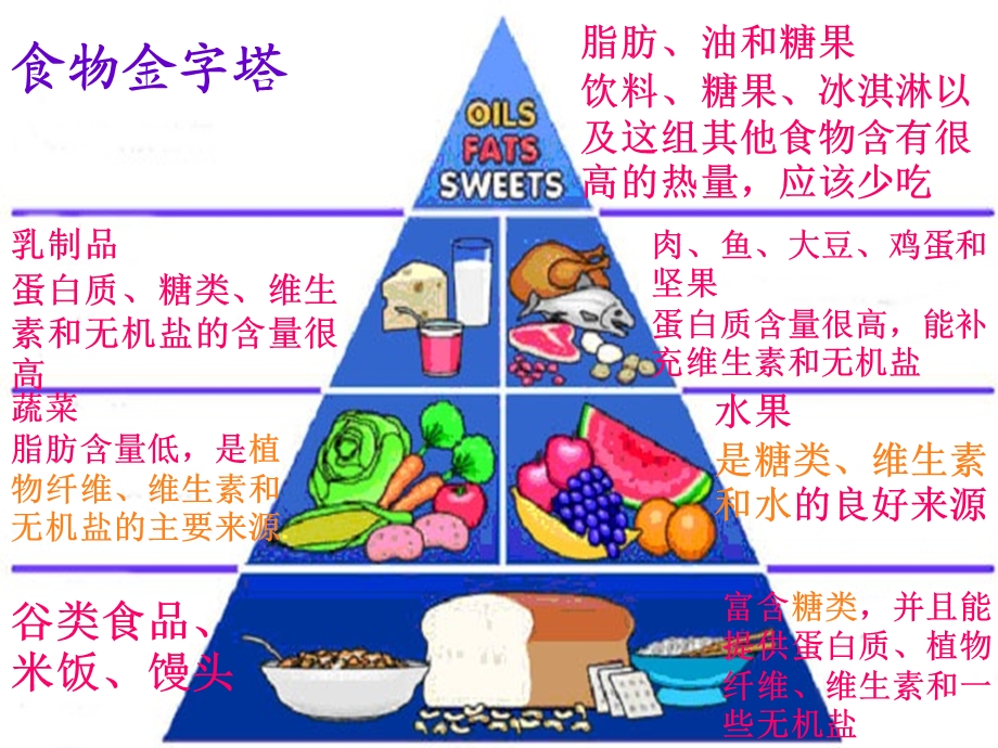 七年级生物 第三节 合理膳食与食品安全ppt课件.ppt_第3页