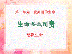 《生命多么可贵》ppt课件.ppt