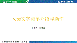 wps文字的简单基础操作ppt课件.pptx