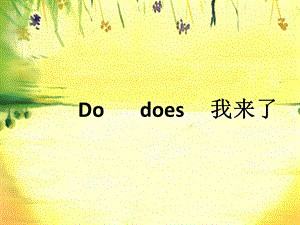 do和does的用法及区别课件.ppt