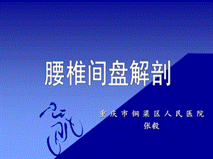 《腰椎间盘解剖》ppt课件.ppt