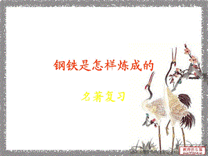 《钢铁是怎样练成的》ppt课件.ppt