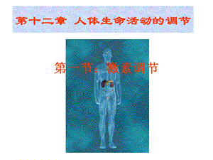 七年级.ppt课件激素调节.ppt