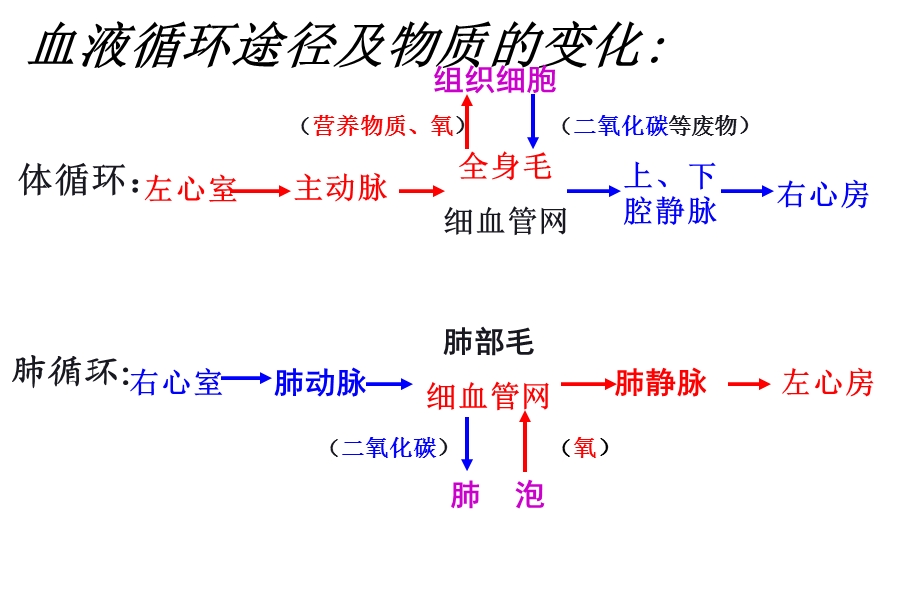 《输血和血型》公开课ppt课件.ppt_第1页