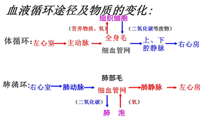 《输血和血型》公开课ppt课件.ppt