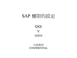 sap 权限的设定ppt课件.ppt