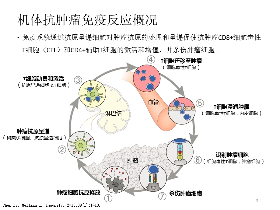 PD1癌症免疫治疗ppt课件.pptx_第3页