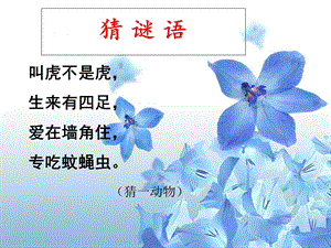 《小壁虎借尾巴》第一课时ppt课件.ppt