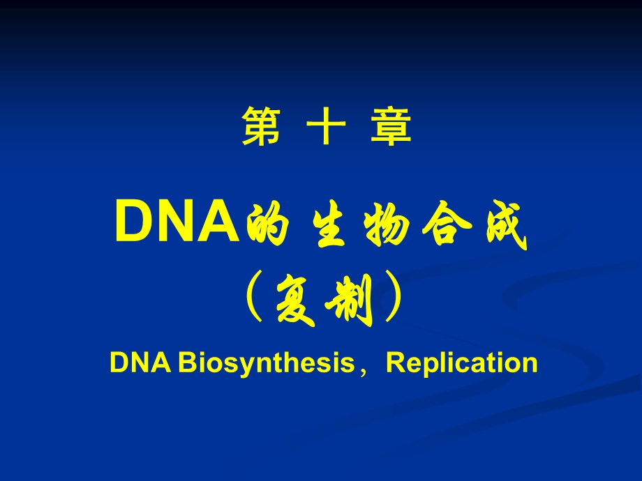 DNA的生物合成 复旦大学生物化学PPT课件.ppt_第1页