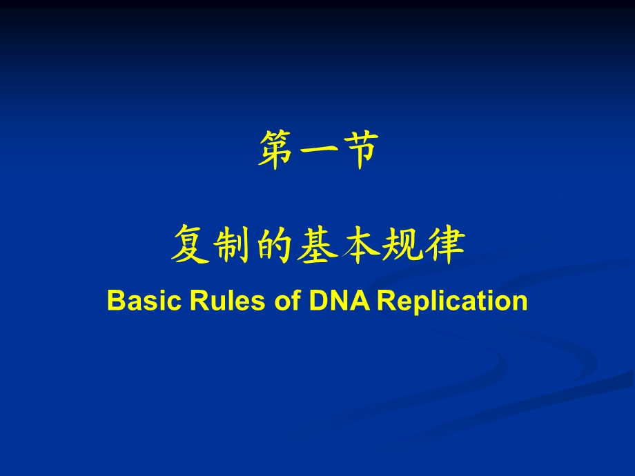 DNA的生物合成 复旦大学生物化学PPT课件.ppt_第3页