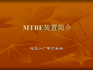 MTBE装置生产原理及工艺流程ppt课件.ppt