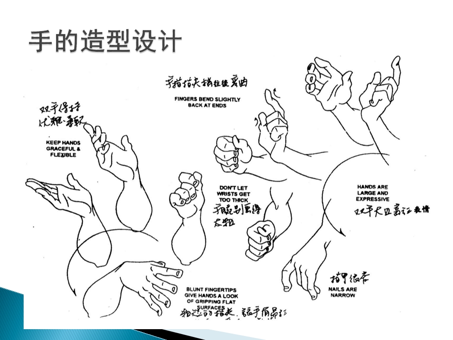 《动画造型设计》动画造型设计手足ppt课件.ppt_第2页