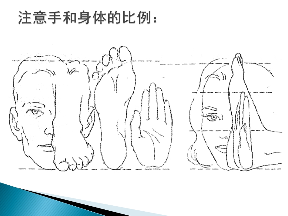 《动画造型设计》动画造型设计手足ppt课件.ppt_第3页