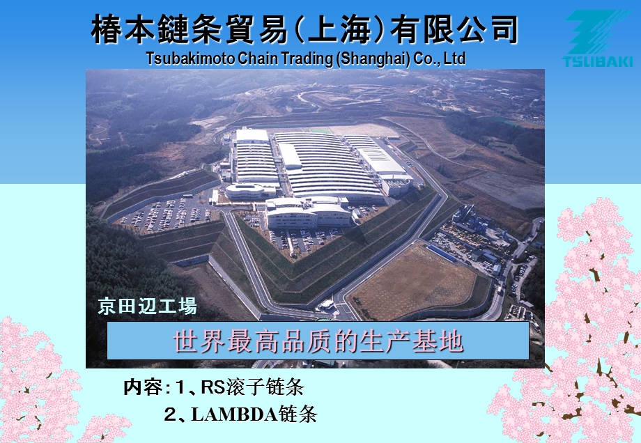 RS滚子链条及LAMBDA链条介绍ppt课件.ppt_第1页