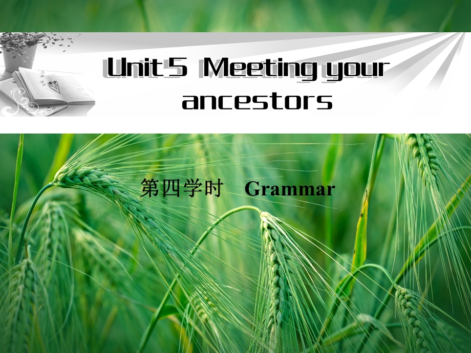 Unit5 第四学时Grammar同步教学PPT课件 新人教版选修8课件.ppt_第1页