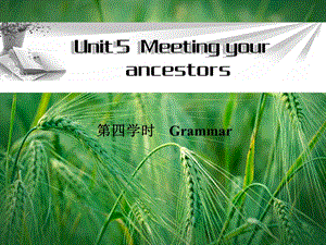 Unit5 第四学时Grammar同步教学PPT课件 新人教版选修8课件.ppt